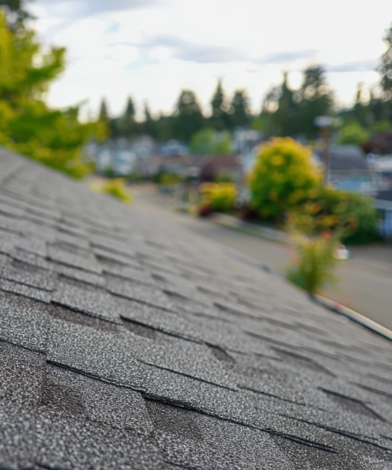 Roof Installation Services In Everett, WA